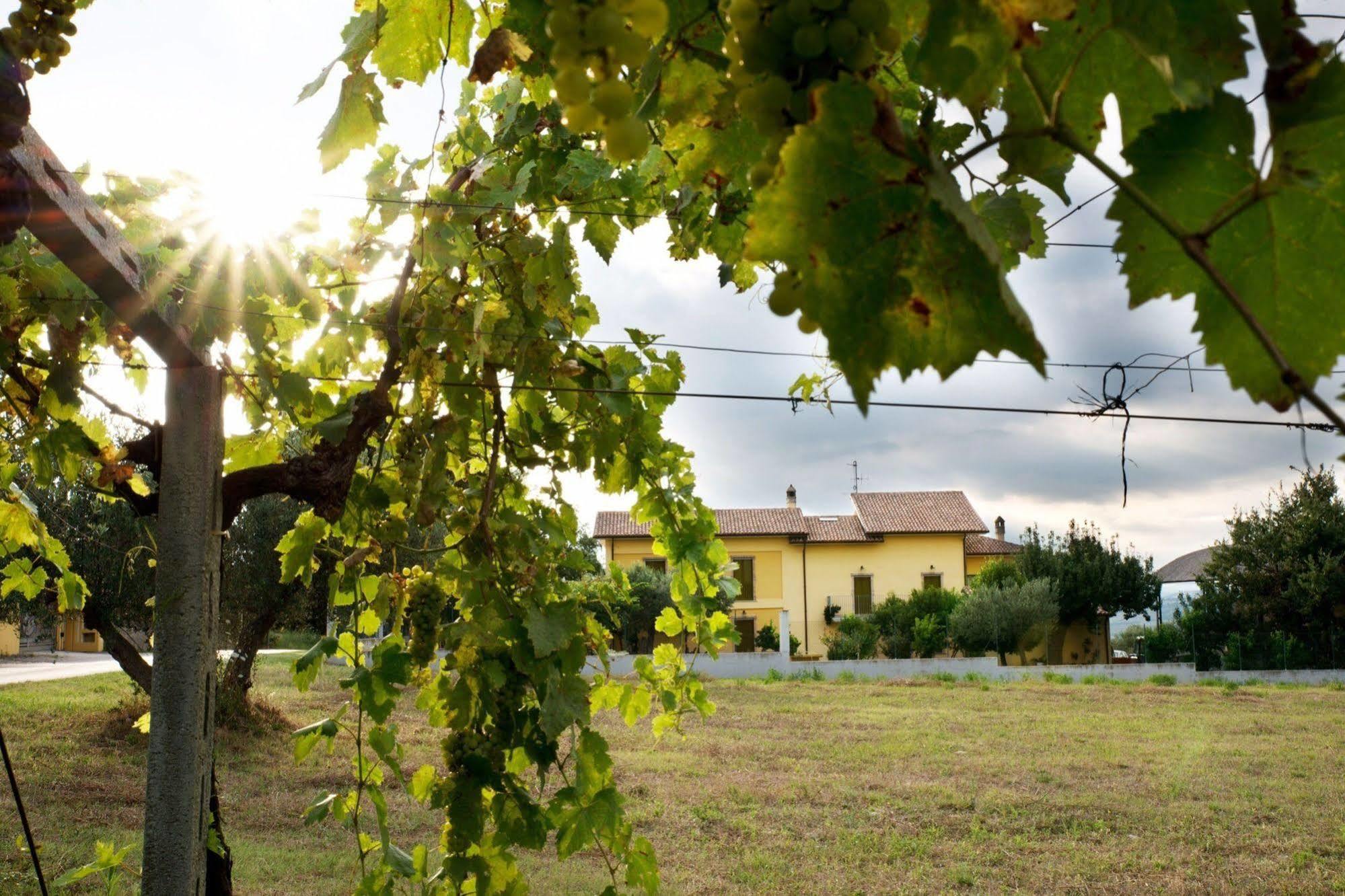 Agriturismo Il Casolare Di Nonno Mario Manoppello Eksteriør bilde